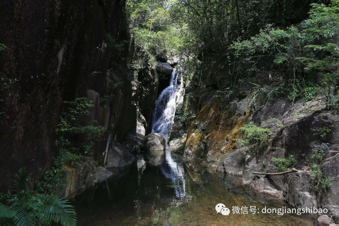 深耕治沙一线近40年