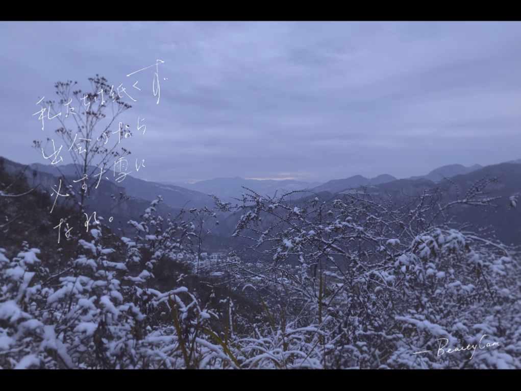陈嘉煊 - 人虽赋闲精神不倒：怀念挚友、“新闻大咖”陆嘉生之五